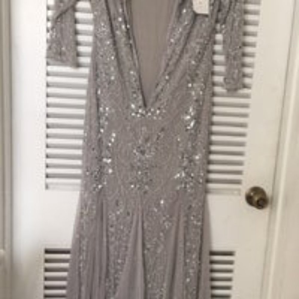 Pizarro Nights Size 6 Silver Mother of Bride Gown - Picture 5 of 6